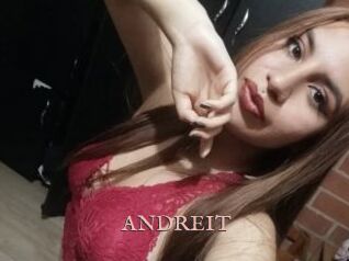 ANDREIT