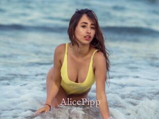 AlicePipp