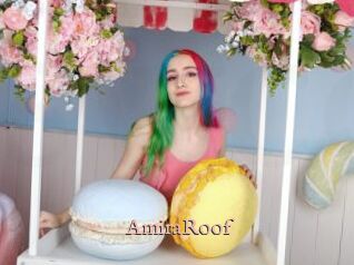 AmiraRoof