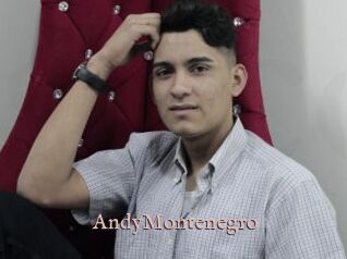 AndyMontenegro