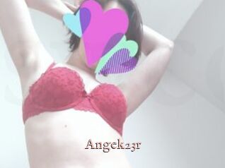 Angek23r