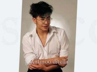Antinoo_ditella