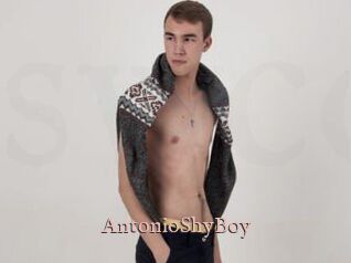 AntonioShyBoy