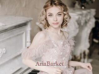 AriaBarket