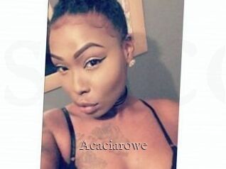 Acacia_rowe