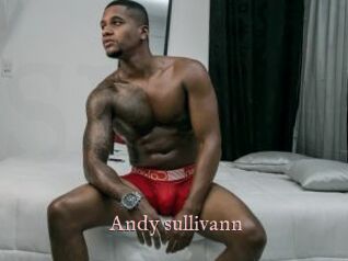 Andy_sullivann