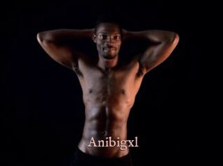 Anibigxl