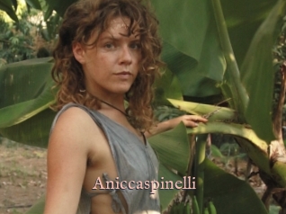 Aniccaspinelli