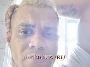 BIGDICKFORU4