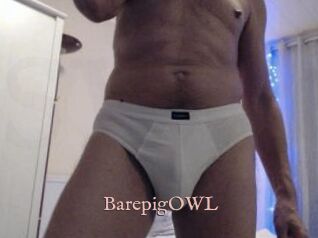 BarepigOWL