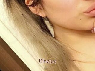 Blue_jay