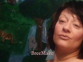 Bree_Maze