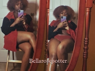Bellarosepotter