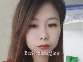 Bericezhangjing