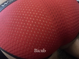 Bicub