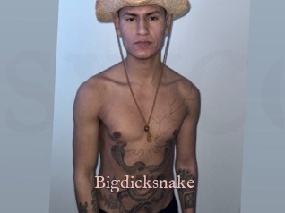 bigdicksnake Sex Webcam Overzicht