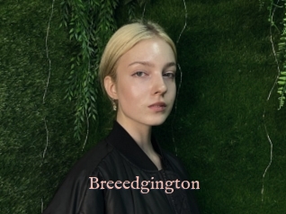 Breeedgington