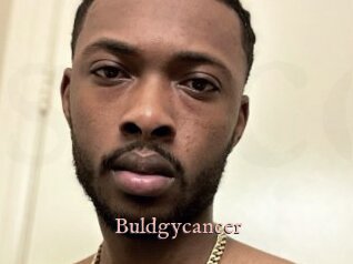 Buldgycancer