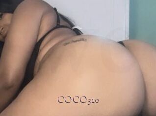 COCO310