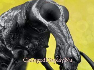 ChangedDisplayNu