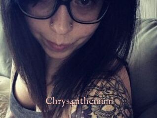 Chrys4nthemum