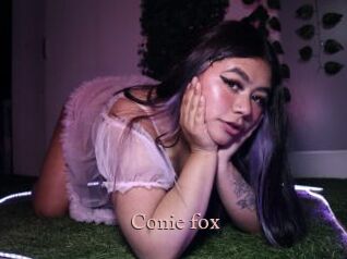Conie_fox
