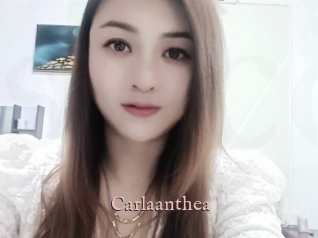Carlaanthea