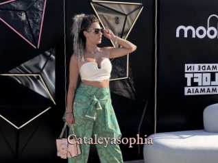 Cataleyasophia