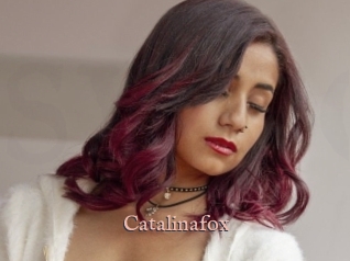 Catalinafox