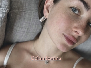 Cclandestina