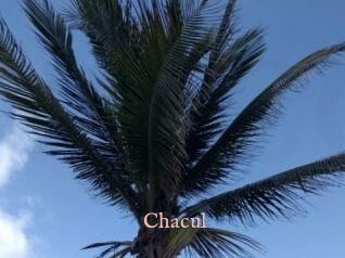 Chacul