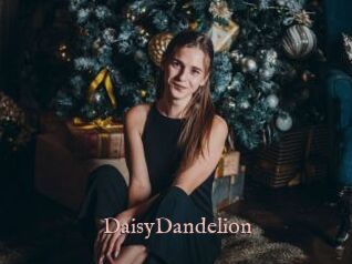 DaisyDandelion