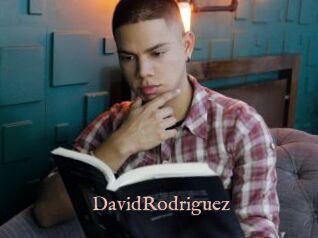 DavidRodriguez
