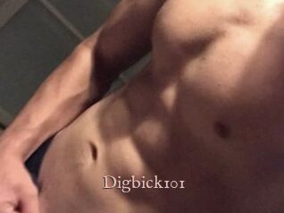 Digbick101