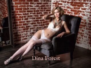 Dina_Forest