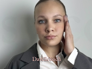 Darellebach