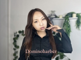 Dominoharber