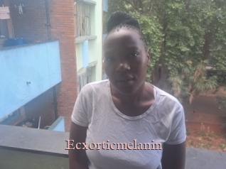 Ecxorticmelanin