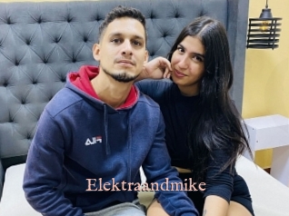 Elektraandmike