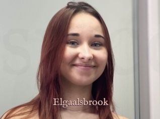 Elgaalsbrook