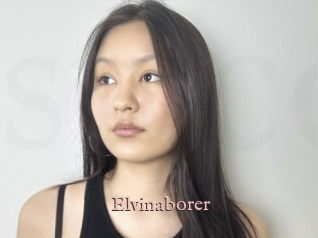 Elvinaborer