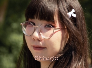 Elvinagitt