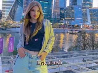 Ericabush