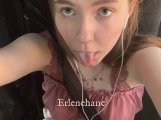 Erlenehane