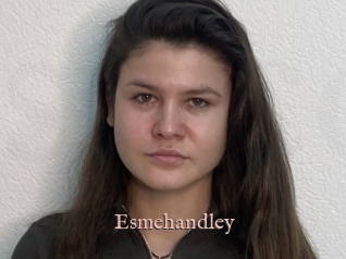 Esmehandley