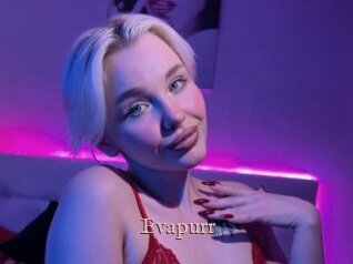 Evapurr