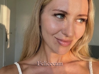 Felicecam