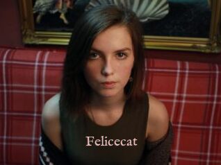 Felicecat