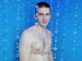 Felixgunn