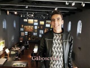 Gabosexual